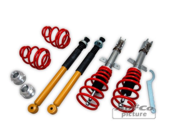 Coilover-Kit Renault Clio III
