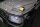 LED Side marker with dynamic light for MERCEDES-BENZ G-CLASS (W463)